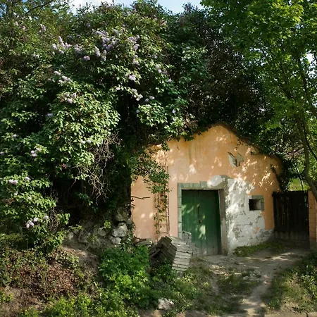 Kır Evi U Floderu Bavory